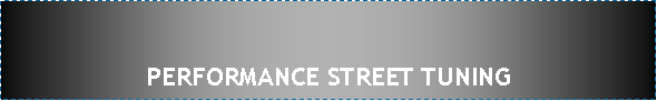 Text Box: PERFORMANCE STREET TUNING